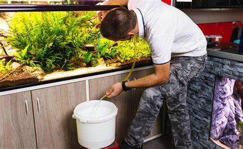 Why is changing fish tank water important?
