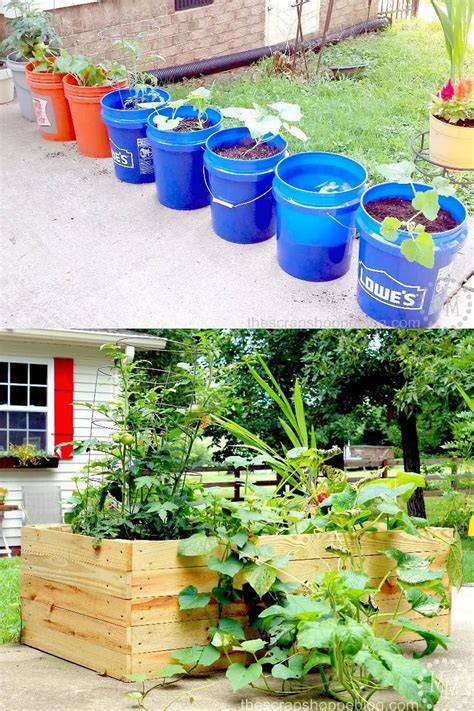 cheap container gardening ideas
