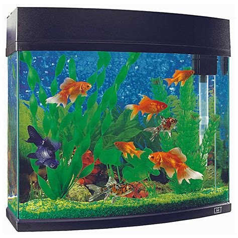 Cheap Fish Tank