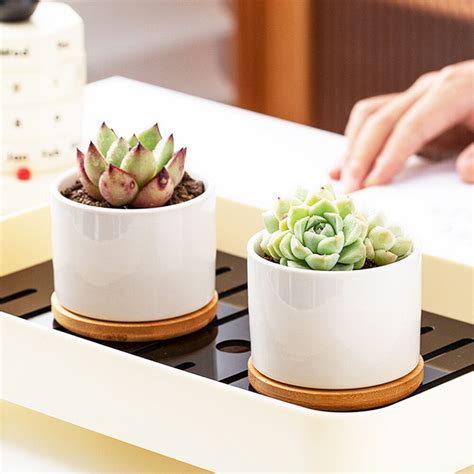 cheap succulent pots