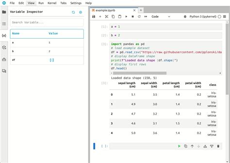 check if variable is dataframe