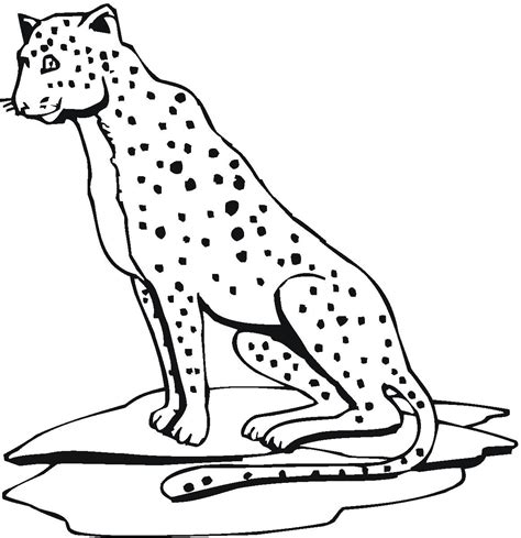 cheetah coloring page