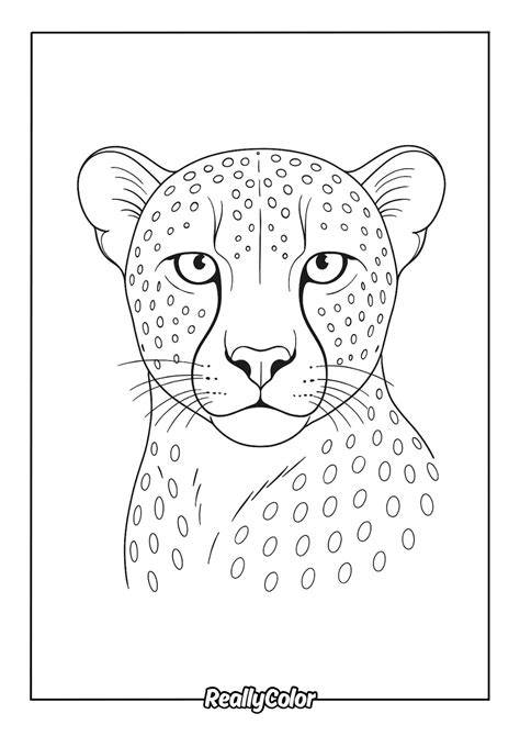cheetah face coloring page