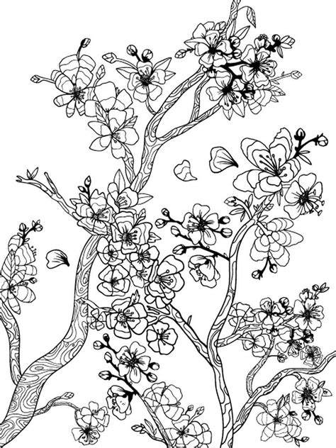 cherry blossoms coloring page