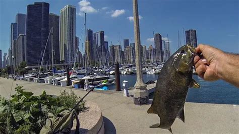 Chicagoland Fishing Spots
