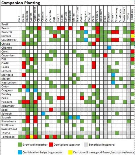 chive companion planting chart