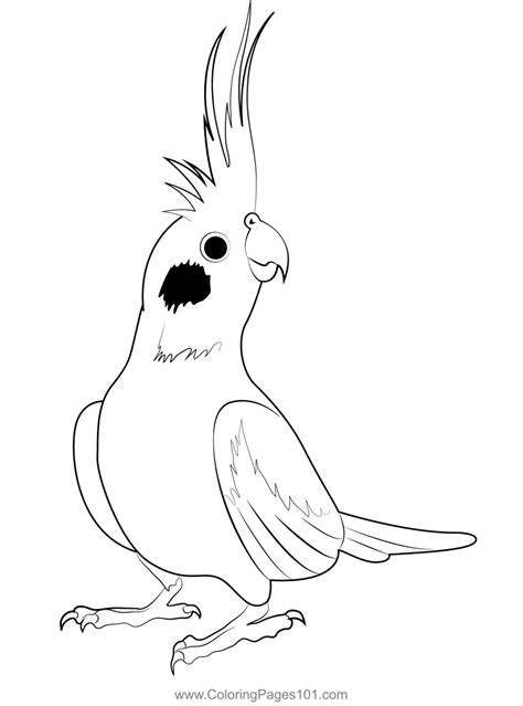 cockatiel coloring pages