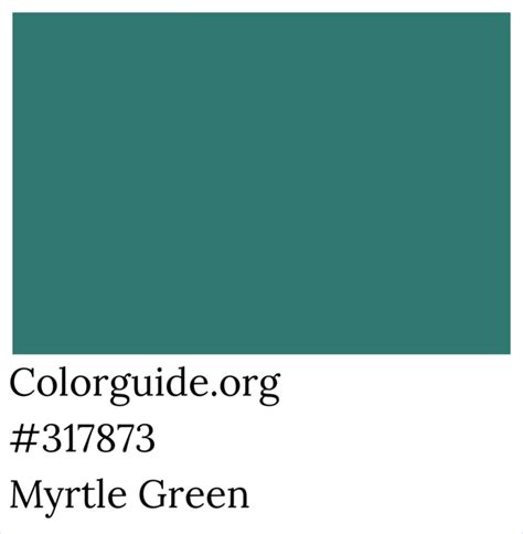 color myrtle