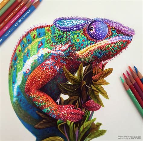 Color Pencil Drawing Coloring Wallpapers Download Free Images Wallpaper [coloring365.blogspot.com]
