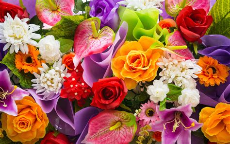 colorful flowers