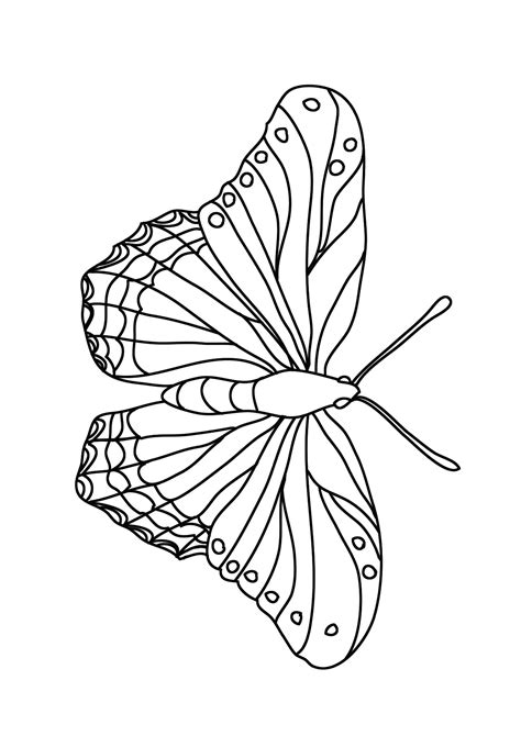 coloring book pictures of butterflies