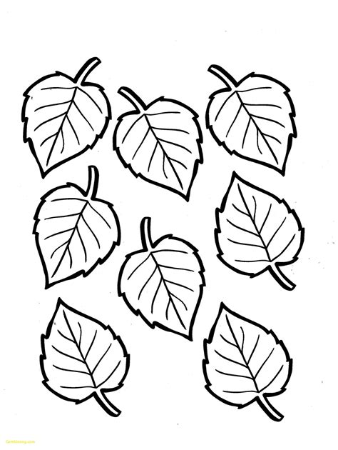 coloring leaves pages