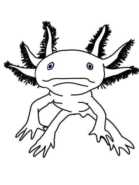 coloring pages axolotl