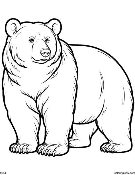 coloring pages black bear