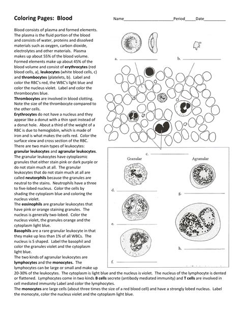 coloring pages blood