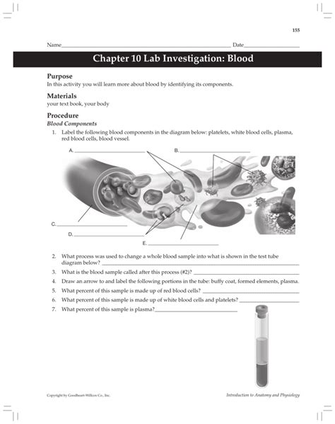 coloring pages blood answer key