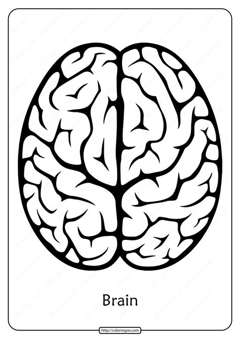 coloring pages brain