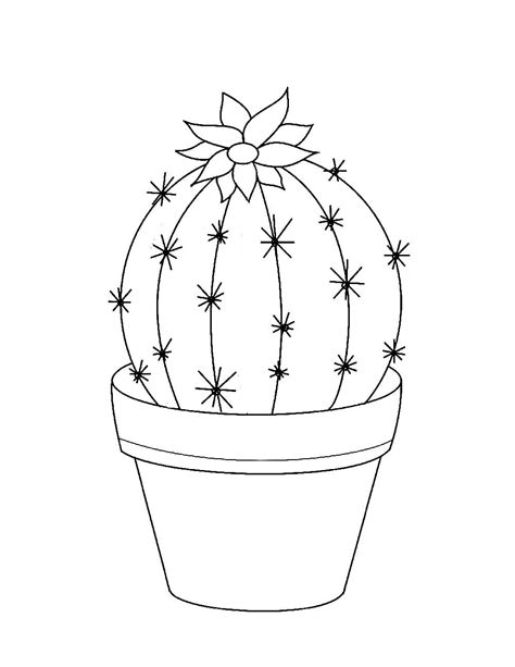 coloring pages cactus
