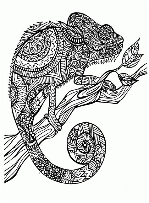coloring pages detailed animals