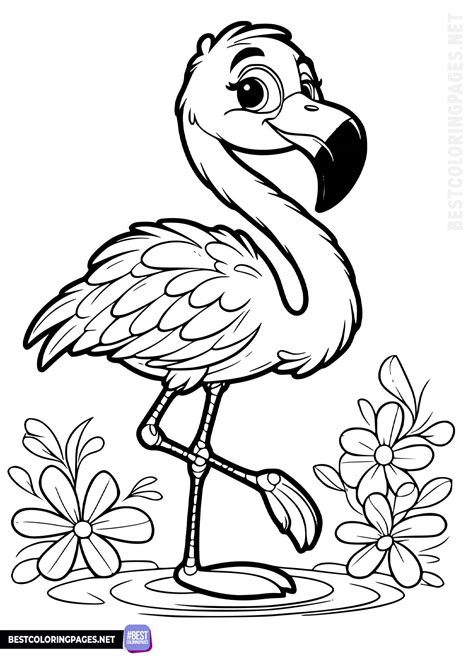 coloring pages flamingo