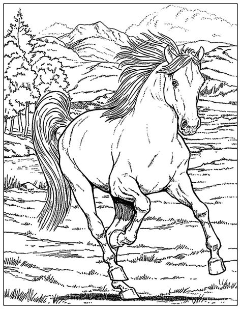 coloring pages horses for adults