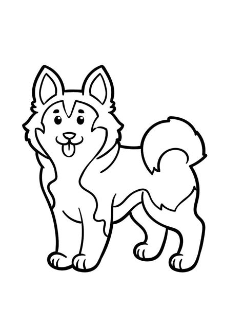 coloring pages husky