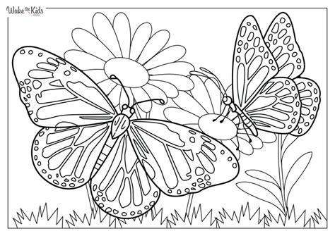 coloring pages monarch butterfly