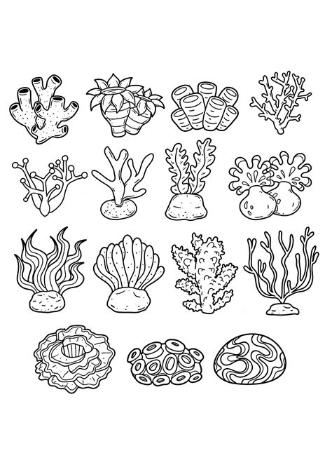 coloring pages of coral