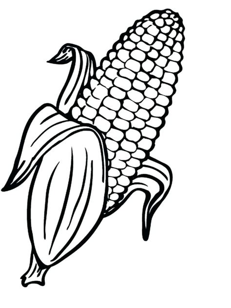 coloring pages of corn