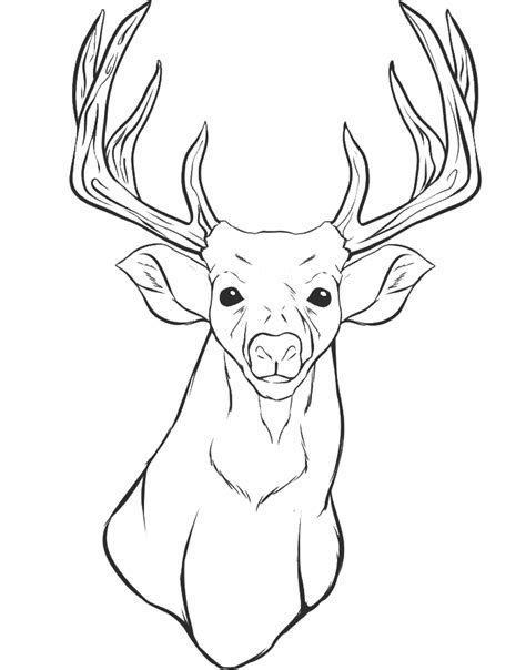 coloring pages of deer antlers