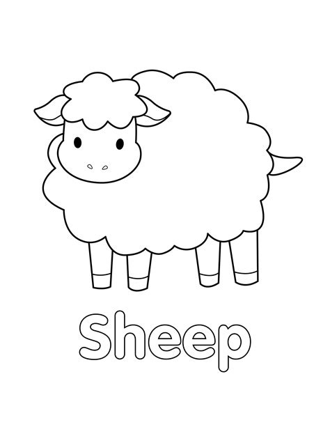 coloring pages of sheep