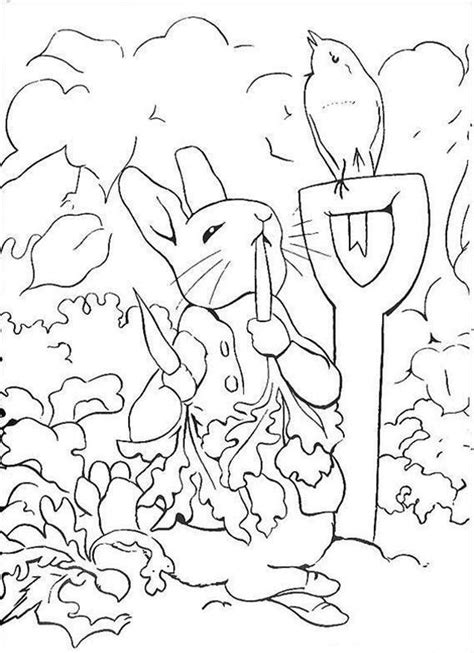 coloring pages peter rabbit