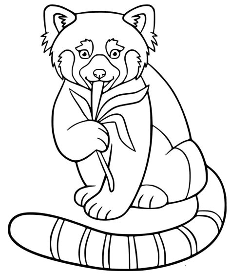 coloring pages red panda