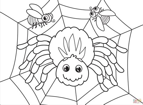 coloring pages spider