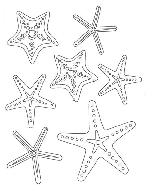 coloring pages starfish