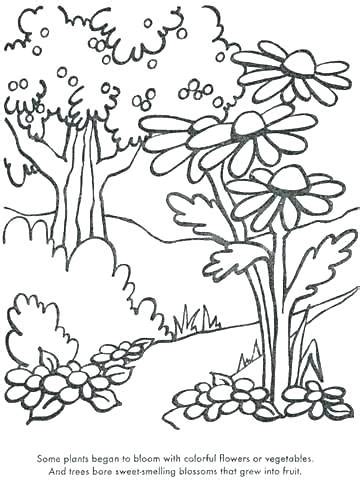 coloring pages trees plants and flowers