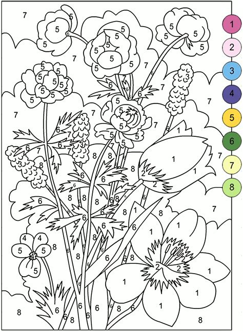 colouring book by numbers for adults