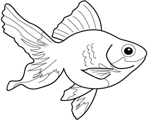 colouring pic of fish