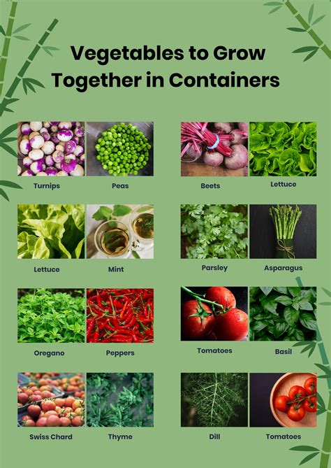 companion planting in containers