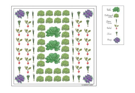 companion planting romaine lettuce