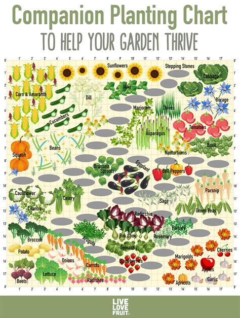 companion planting vegetable garden chart