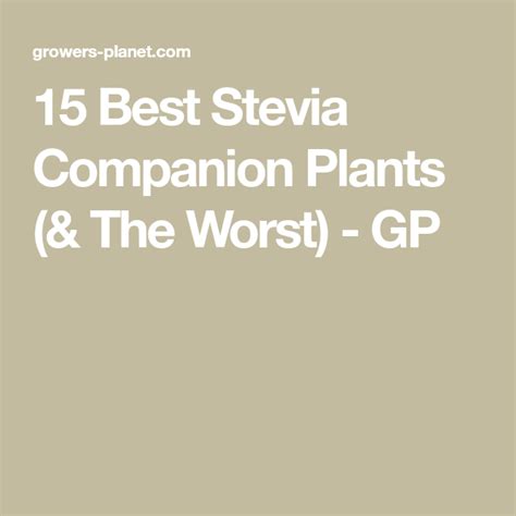 companion plants for stevia
