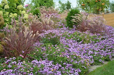 companion plants for tall ornamental grasses