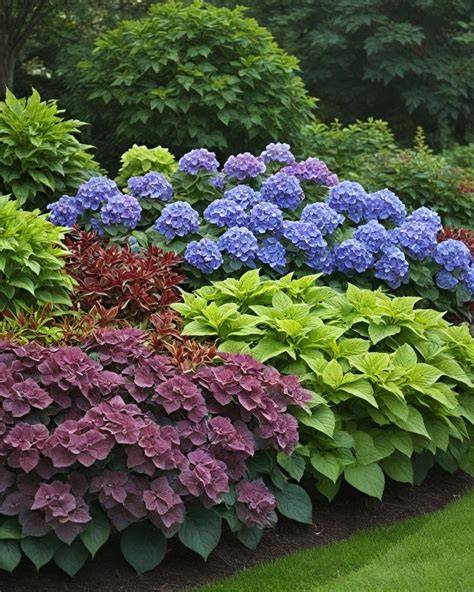 companion plants with hydrangeas