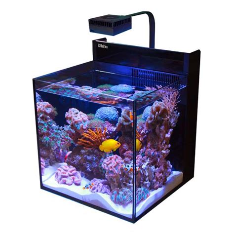 Complete Aquarium Kit