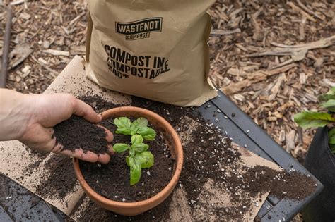 compost for plants