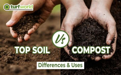 compost topsoil