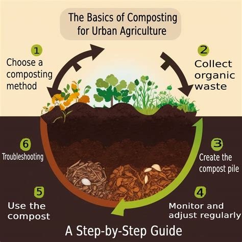 composting basics