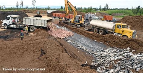 composting fish waste