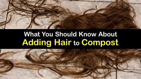 composting hair